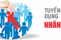 Dịch vụ tuyển dụng nhân sự